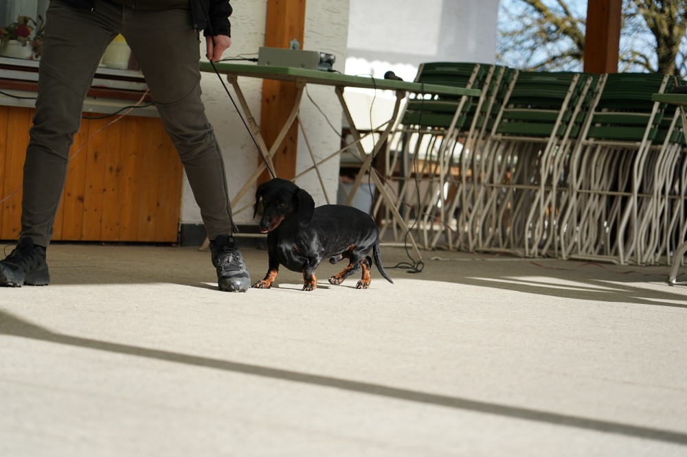 s_A9_09851.jpg